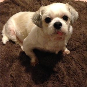 Meet your Posher, Tracy